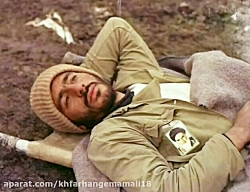 نگاه شهدا