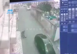  حمله سگ ولگرد به پیرمرد در آمل حمله سگ ولگرد به پیرمرد در آمل