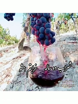 میکس لری//شراب ده سالم خرابتم امشو
