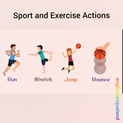 Sport and Exercise Actions