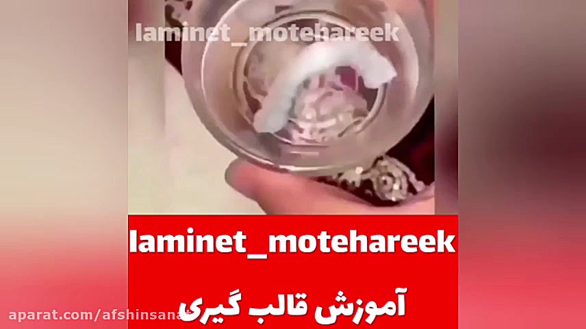 آموزش قالبگیری لمینت متحرک اسنپ اسمایل ( لینک خرید در توضیحات ) میکروبیولوژی تطبیقی