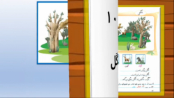فارسی اول دبستان درس جنگل