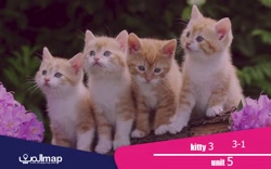 kitty 3 (unit5)