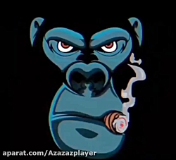 کلیپ گنگ استوری واتساپ