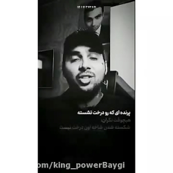 جمله بسیار مفهومی potak