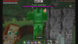 ماینکرافت اما هر بایوم پادشاه...