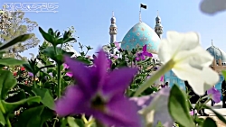 کلیپ عاشقانه امام زمان عج (ارت...