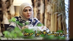 کلیپ تصویری ماه تولد بازیگران سریال بچه مهندس ۴ با آهنگ آمدی تا ابد در قلب من با