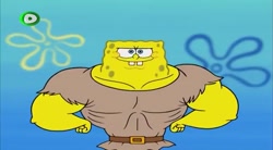 باب اسفنجی انیمیشن باب اسفنجی...