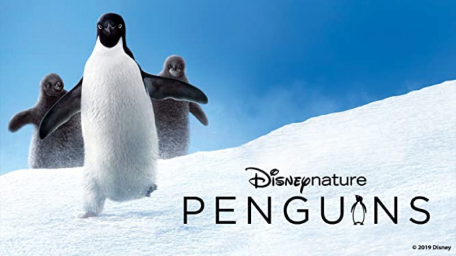 مستند پنگوئن ها penguins 2019 زمان4576ثانیه