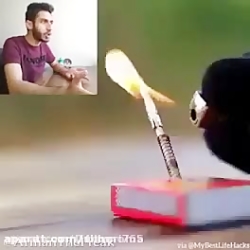 ایده های احمقانه