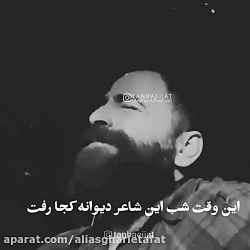 صدای ناب