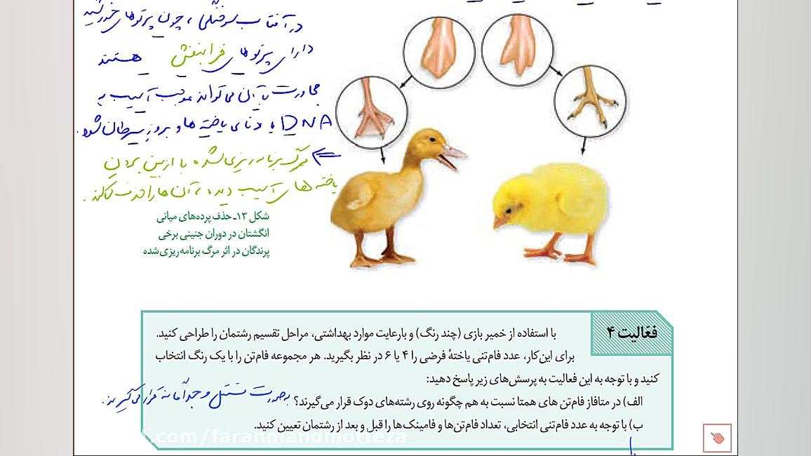 شماره 38 - تقسیم میتوز قسمت سوم رونالدینیو