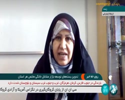 تدوین بسته های توسعه بازار مشاغل خانگی مختص هر استان تدوین بسته های توسعه بازار مشاغل خانگی مختص هر استان