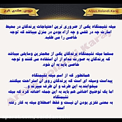 میله نشیمن عروس هلندی و طوطی