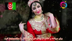 آهنگ شاد افغانی مجلسی  افغانی...