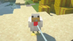 وقتی مرغت رو میدی دست دوستت!!!  | Minecraft |