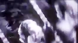 میکس سونیک♡