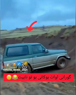 شوتی سوار