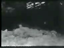 گرگ های وحشی آذربایجان