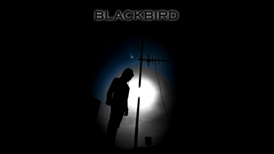 پوستر فیلم پرنده سیاه (Blackbird) زمان8ثانیه