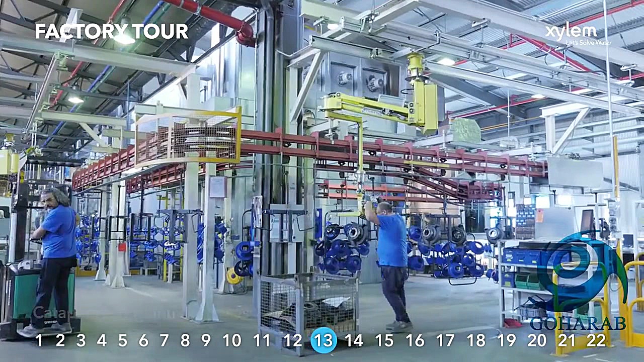 خط رنگ رزی پمپ سازی لوارا LOWARA ایتالیا گل گدوت