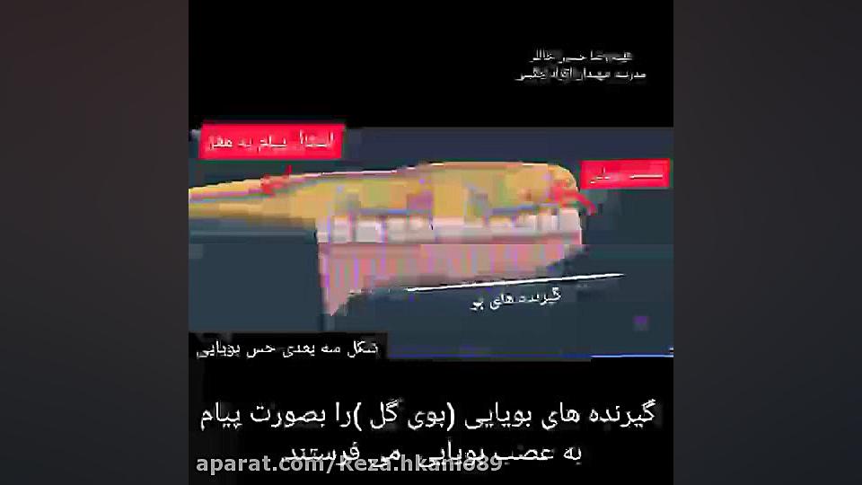 حس بویایی علوم پنجم هشتگ