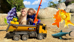 برنامه کودک بچه میمون | کمک به...