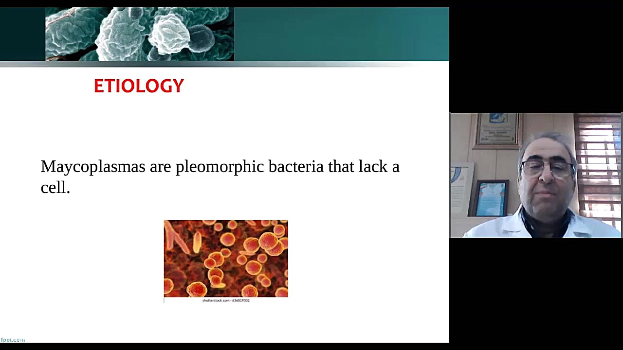 دکترمنوچهر براک - پانل عفونت های دستگاه تنفسی تحتانی در کودکان تزریق چربی