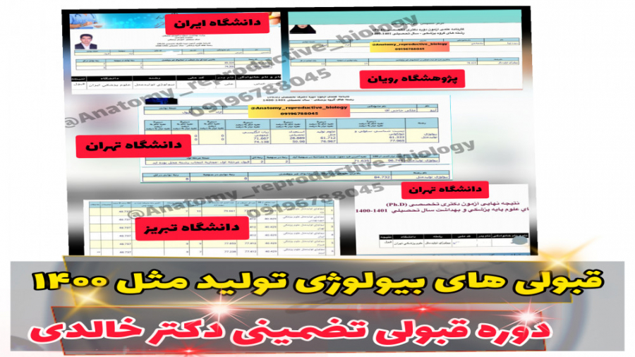 قبولی دکتری بیولوژی تولید مثل ۱۴۰۰ فیل فندقی