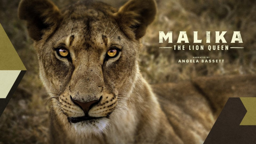 مستند مالیکا: ملکه شیرها Malika: the Lion Queen 2021 زمان5115ثانیه