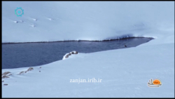 زمستان در سد تهم