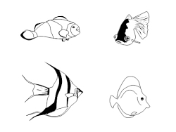 outline drawings of fish outline drawings of fish