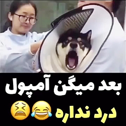 بعد میگن آمپول درد نداره  ویدئ...