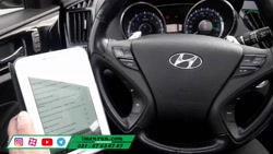 82 	 ایمن ران  کارشناسی رنگ و...