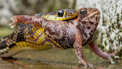 بهترین لحظات حیات وحش  لحظه ها...