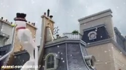 مرگ لیدی باگ