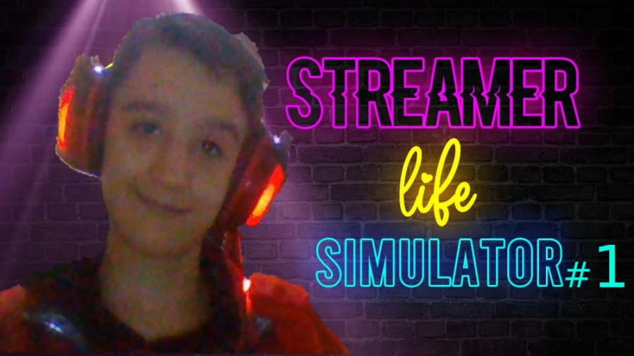 شبیه‌ساز زندگی استریمر !!!Streamer Life Simulator1