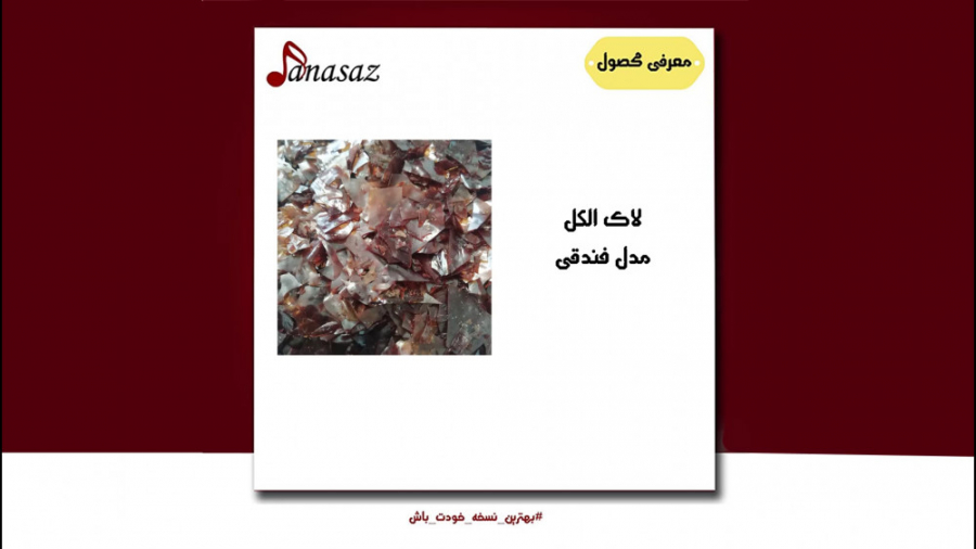 فیلم معرفی لاک الکل مدل فندقی زمان123ثانیه