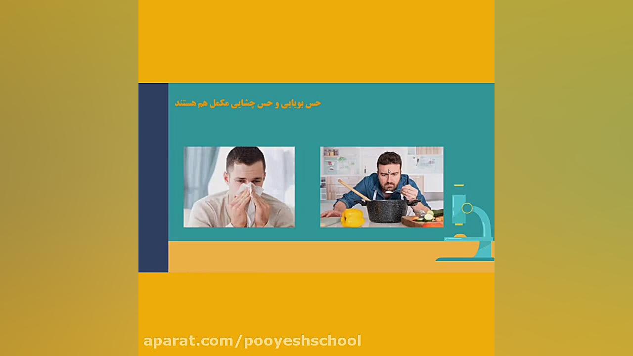 چه خبر ۲ , علوم پنجم ، آشنایی با ساختار حس «چشایی» تهمورس پورناظری