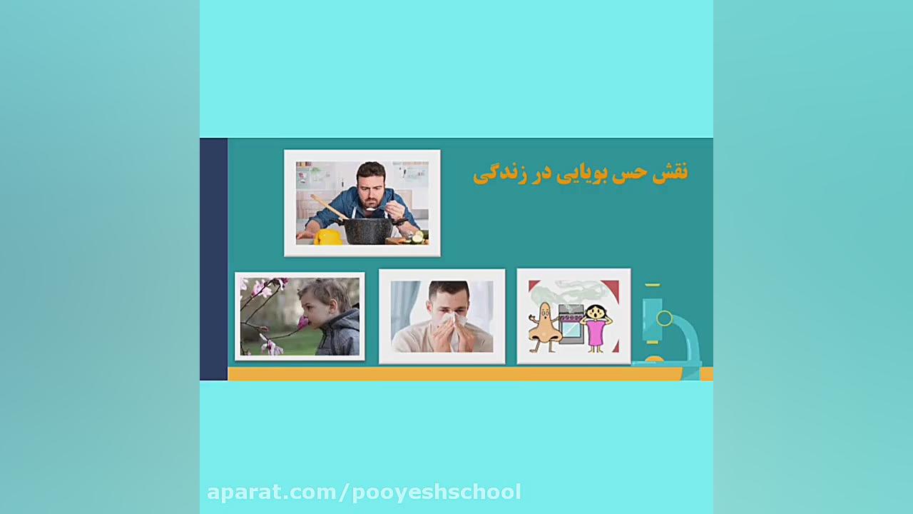علوم پنجم ، چه خبر ۲ ، حس بویایی کیم کارداشیان