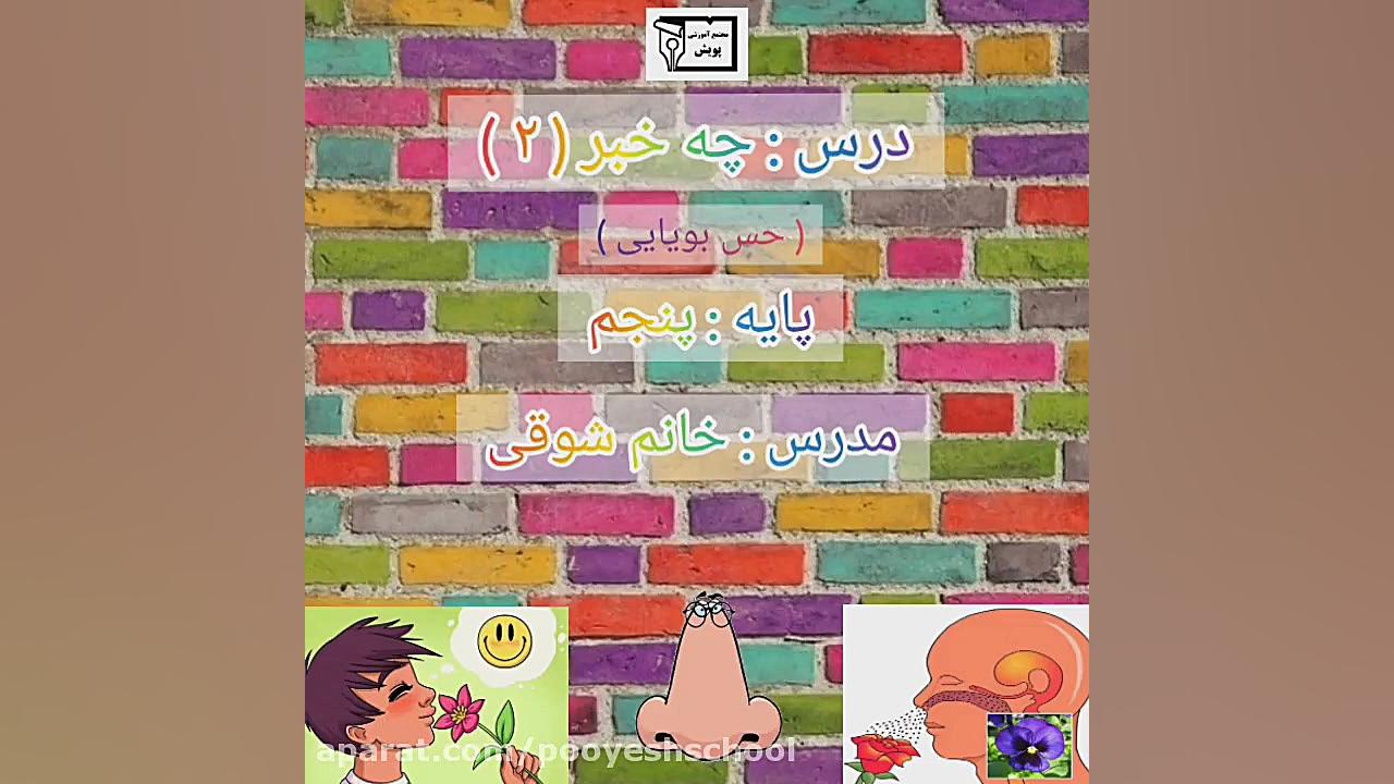 علوم پنجم ، چه خبر ۲ ، ساختار سه بعدی حس بویایی سحر قریشی