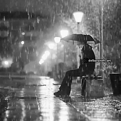آهنگ زیبای کجایی با صدای علیرضا قربانی
