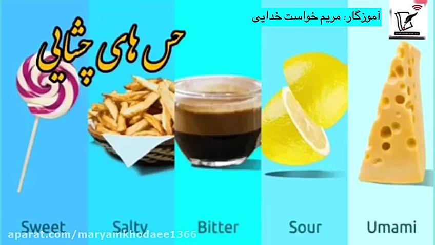 حس های چشایی زبان جولیا رابرتس