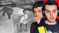 لحظه هایی که اگر با دوربین رکو...