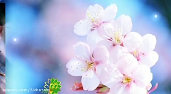 کلام رهبری
