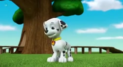 انیمیشن سگ های نگهبان سگ های ن...