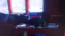 ستاره شمالی