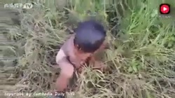 مستند زيباي كودكان مار گير، ما...