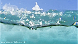 مستند حیات وحش آفریقا بخش ۴ دو...